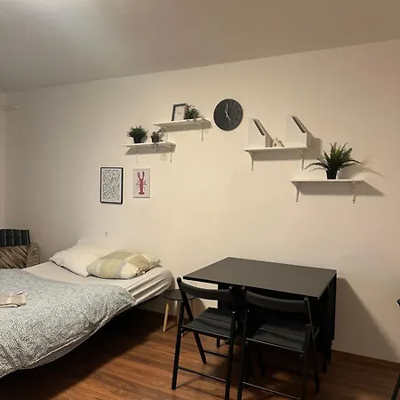 公寓 Private 1 Km From Center With Kitchen 布拉迪斯拉发